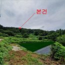 금성초등학교금계분교장 이미지