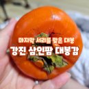 강진산업 | 마지막 서리 맞은 강진 대봉감, 삼인팜 홍시