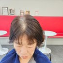 죠이헤어클럽 - 도봉구 | 전주 평화동 미용실 볼륨 빵빵 예뻐지는 곳 죠이헤어클럽 평화점