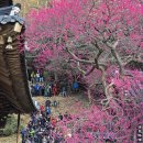 이고농산 | 구례 화엄사(2) 문화재의 보고 수많은 문화재와 아름다운 풍광이 있는 불멸의 명작