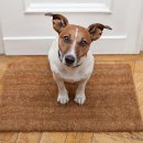 강아지집 이미지