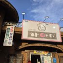 찐 하루살이 이미지