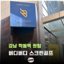 버디버디스크린골프 : 강남 학동역 프렌즈스크린 퀀텀 후기, 요금, GC쿼드 연습장