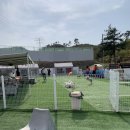 펠리스뻬로 이미지