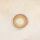 브라운디자인 이미지
