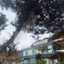 이지펜션 | 가평펜션 추천 | 산과 강, 단풍이 어우러진 코지앤이지펜션 숙박 후기