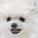 예뻐예뻐