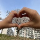 낙동강변로4-62 | 벌써 3번째 방문한 단밀캠핑장, 또 가는 이유