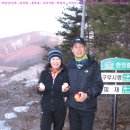 노루메기 이미지