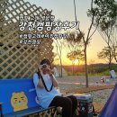 캠핑 고래 여주 강천 캠핑장!(시설 좋은 캠핑장 추천)