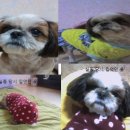 죽림LPG주유소 이미지