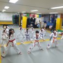 경희대 대호태권도장 이미지