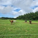 세희목장 이미지