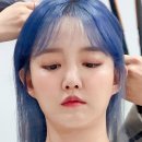 펫스티발 이미지