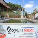 대관령 솔내음 오토 캠핑장 이미지