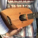 초등 우쿨렐레 이미지