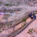 매화한의원 이미지