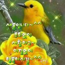 인사말 이미지 고맙습니다, 이미지