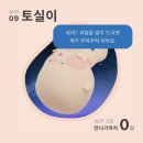 토실이랑 함께(임신중기~후기)