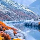 Jackson Browne - The road out stay 이미지