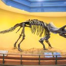 서대문자연사박물관 이미지