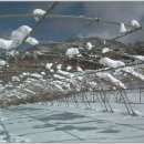 두메산골 이미지