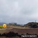 협자연대 이미지