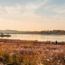 첨단산업단지공원화장실 이미지