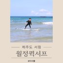 월정에비뉴풀빌라 | 제주도 서핑 강습 보드대여 월정퀵서프 제주액티비티 넘버원!