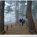 정방동 사무소 정문 앞 | [251207 당버여]홍천 &lt;수타사-홍천미술관,홍천성당-홍천시장,자유중식-송학정교,무궁화파크&gt;