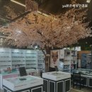 밝은세상안경원 이미지