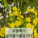 보림초등학교 이미지