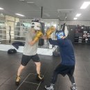 판교더복싱 이미지