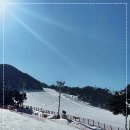 지산리조트겨울왕국렌탈샵