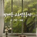 고소영공인중개사사무소 이미지