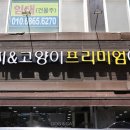 야옹아멍멍해봐 - 남구 서문대로 801 | 야옹아멍멍해봐