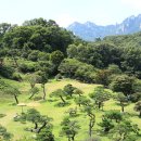 메이 캠프 이미지