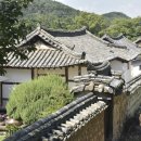 매화향기부동산 | 대구 출신 중년의 대구 여행기 2