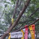 칠갑주차장