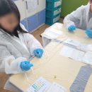 영흥초등학교 | 당뇨병에 대해 알아보고 환자를 진단해보는 [의학병리학/ 6.28 인천광역시 영흥초등학교]