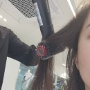 데이지엘헤어 과천점 이미지