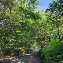 중랑천 제1체육공원 이미지