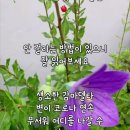 코로나 예방법 이미지