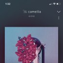 써머레인 이미지