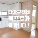 금화장 이미지