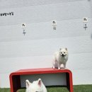 헤이커멍 이미지