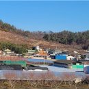 계전1리 Daum카페