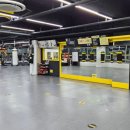 플러스 복싱 체육관 | 양주옥정에서 즐기는 일반인 맞춤 복싱, 펀치플러스 복싱 체험 후기