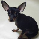 남현파출소 이미지