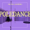 12월의 뭐하지 “폴댄스”(스토리폴댄스; 마포; 홍대; 성산동; 무용; 발레; 취미)